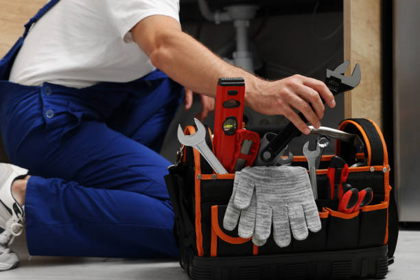 Best Toilet Repair Services  in Centennial Park, AZ