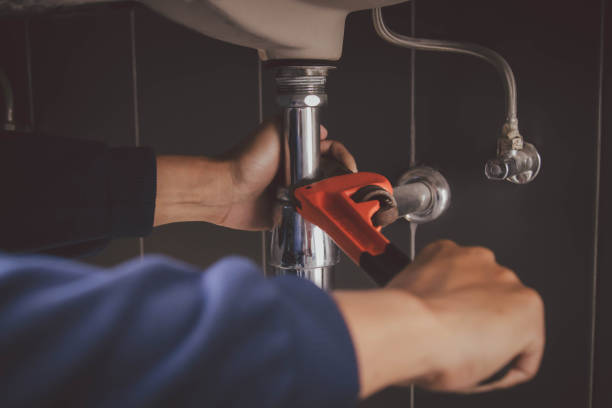 Best Plumbing Inspection Services  in Centennial Park, AZ
